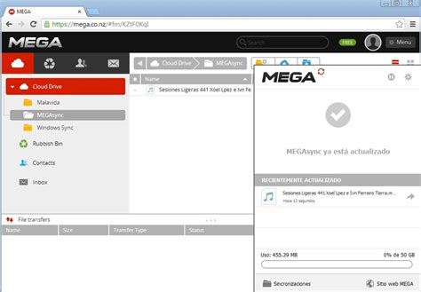 mega wont let me download|MEGA does not download files through MEGASync despite it .